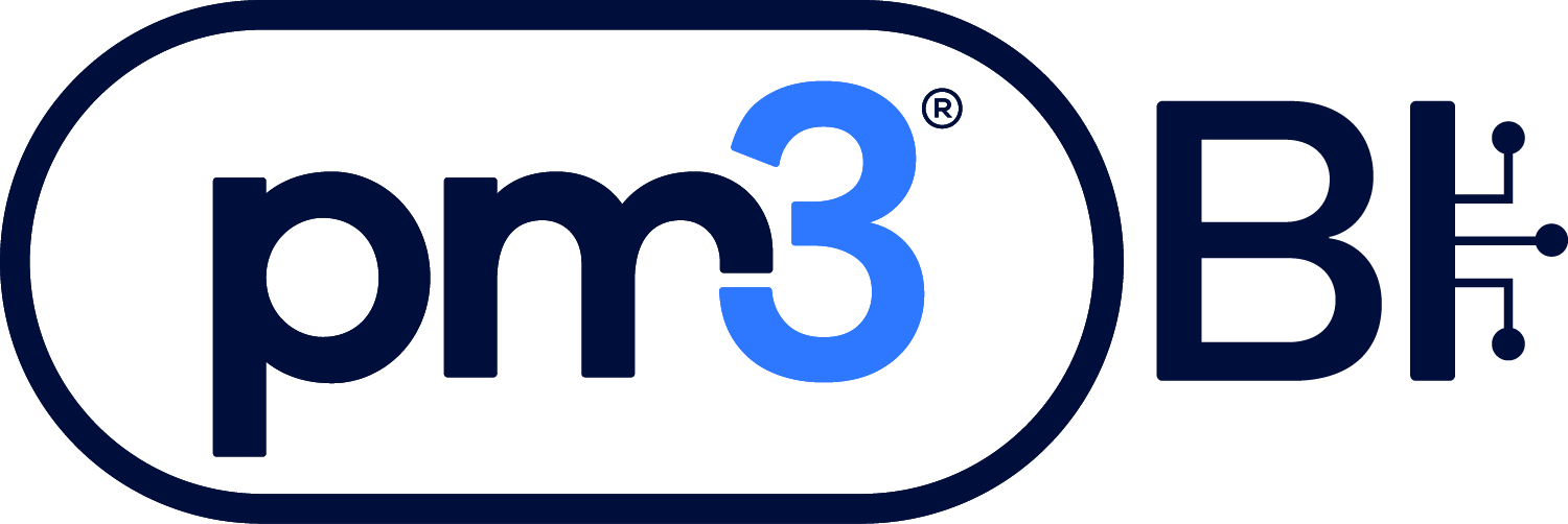 pm3BI logo